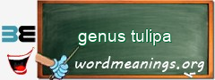 WordMeaning blackboard for genus tulipa